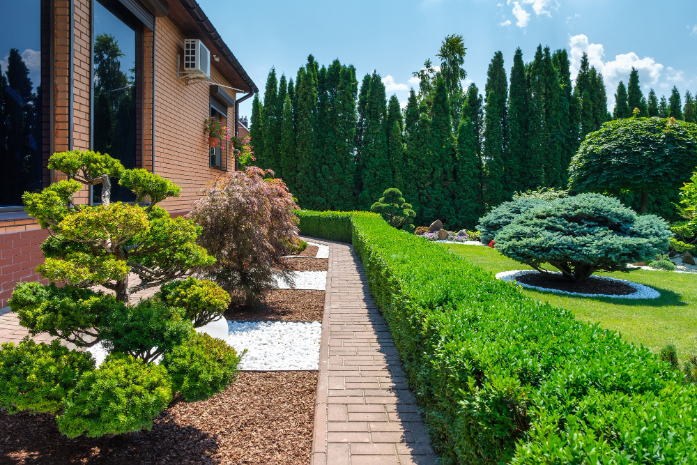 Aménagement de jardin Aménagement de jardin