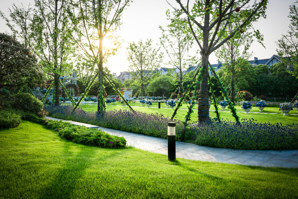 Aménagement de jardin Aménagement de jardin